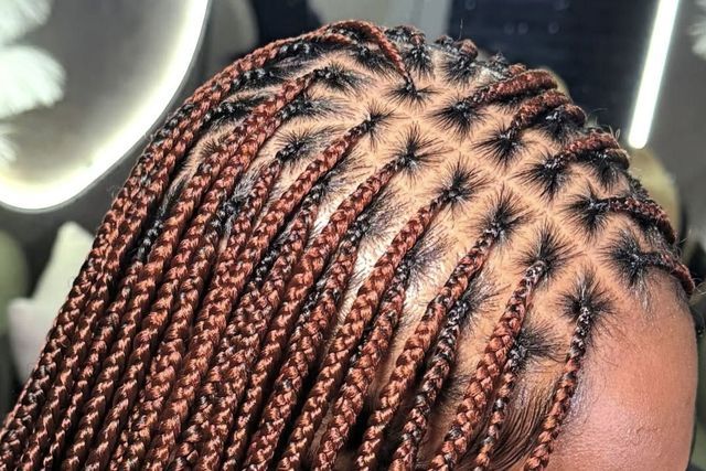 Tree Braids by B.Hair Braiding in Dallas, Texas