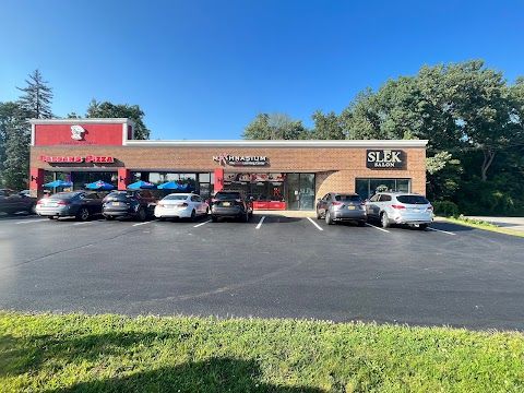 Hair Extensions by Slek Salon | Albany New York in Albany, New York