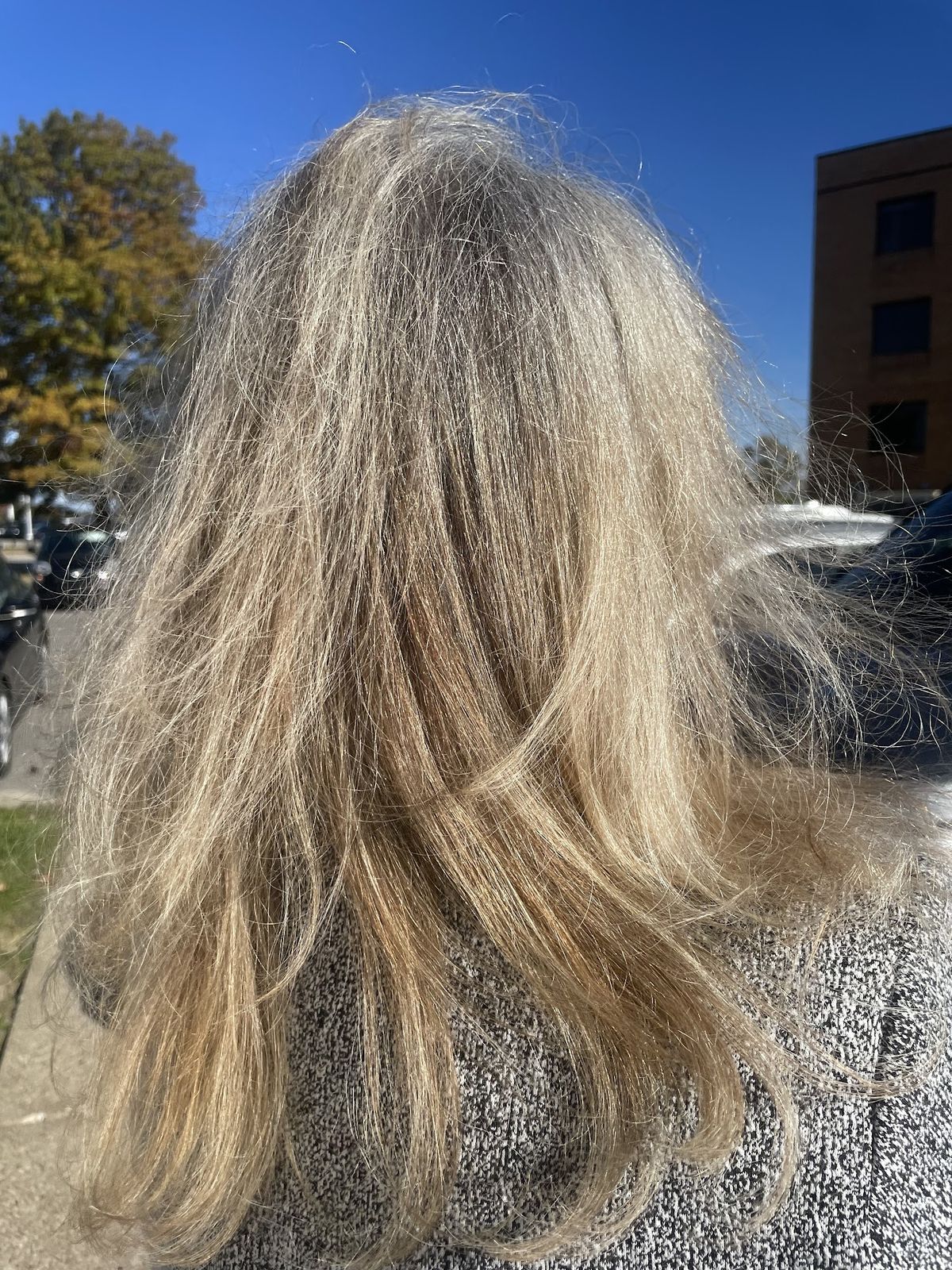 Bella Capelli Academy Robinson, A Paul Mitchell Partner School — sew-in stylist in Pittsburgh, Pennsylvania